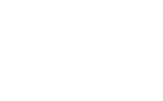 dt-rec